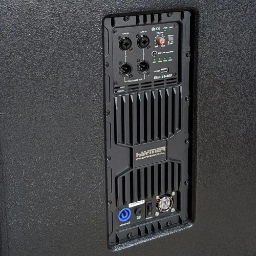 600W RMS / 18" Active SubWoofer מבית – תמונה 3
