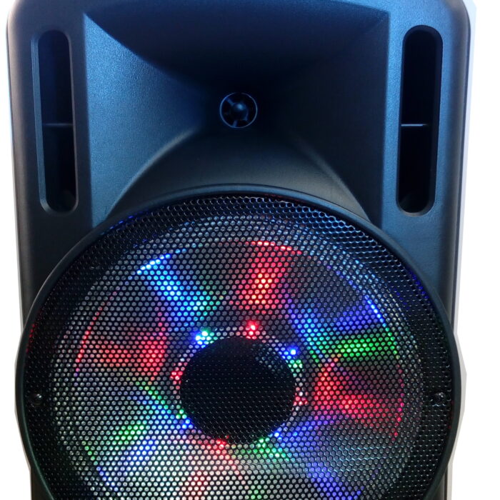 מוצרי הגברה יד 2