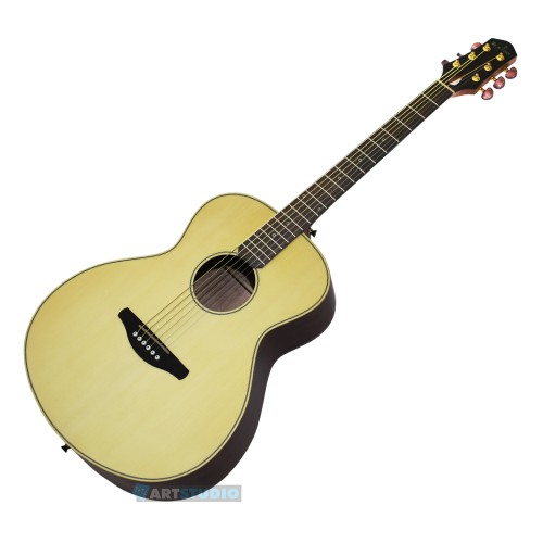 גיטרות אקוסטיות